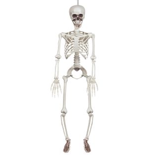 Halloween Decoratie hangend Skelet (91 cm)